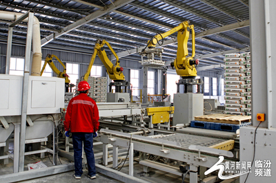 視覺臨汾 襄汾建材企業開足馬力，全力沖刺首季“開門紅”